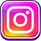 ins